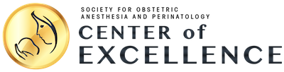 SOAP Center of Excellence logo